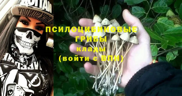 сатива Верхнеуральск