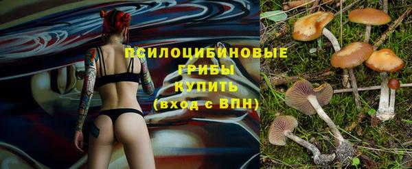 мескалин Верхний Тагил